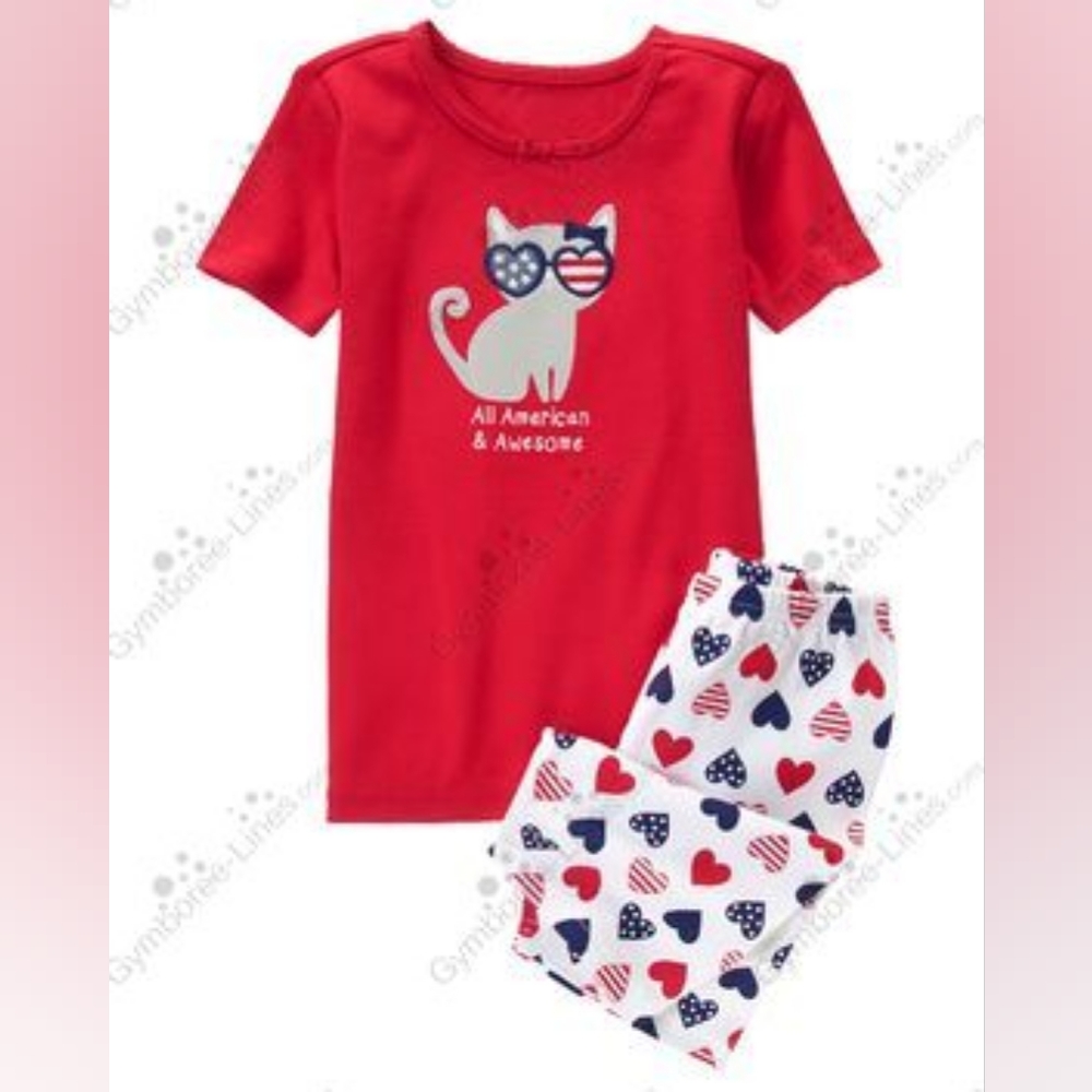 Gymboree Gymmies 2015 All American size 4 cat with short sleeve and short set